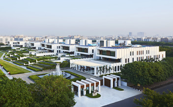 DS Group_website.jpg